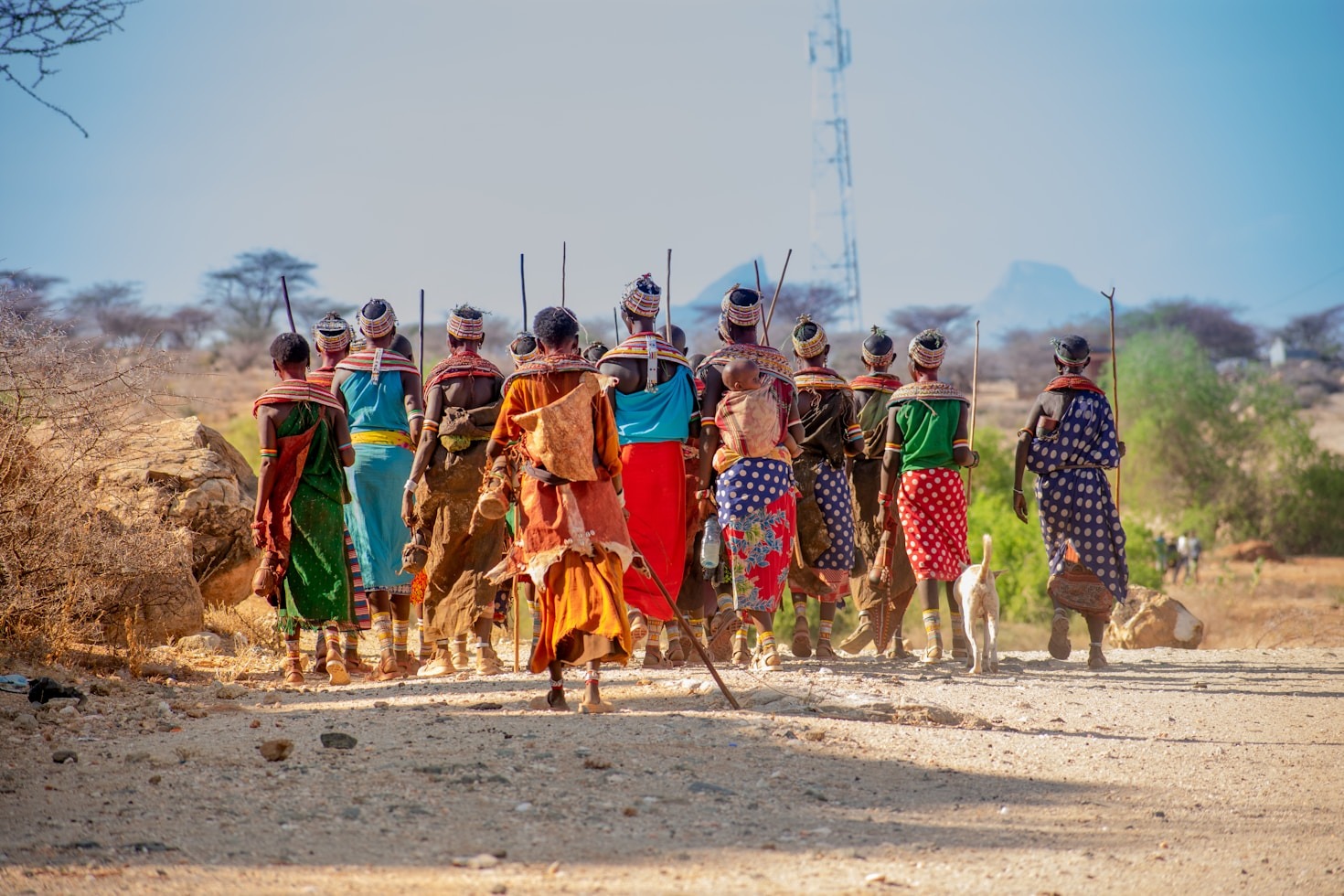 Exploring the World Through Culinary Traditions
